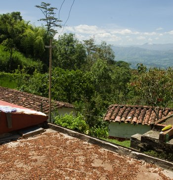 Drying cacao on the slopes of the Andes