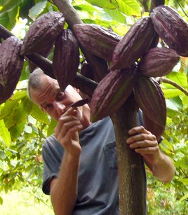 Mott Green of Grenada Chocolate Company Mott Green of Grenada Chocolate Company