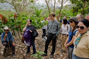 Visiting the Mayan Red plantations in Honduras