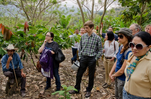 Visiting the Mayan Red plantations in Honduras